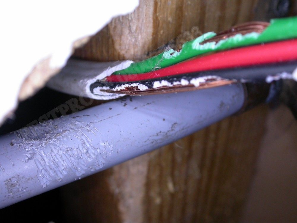 Damage to electrical cables caused by rats gnawing